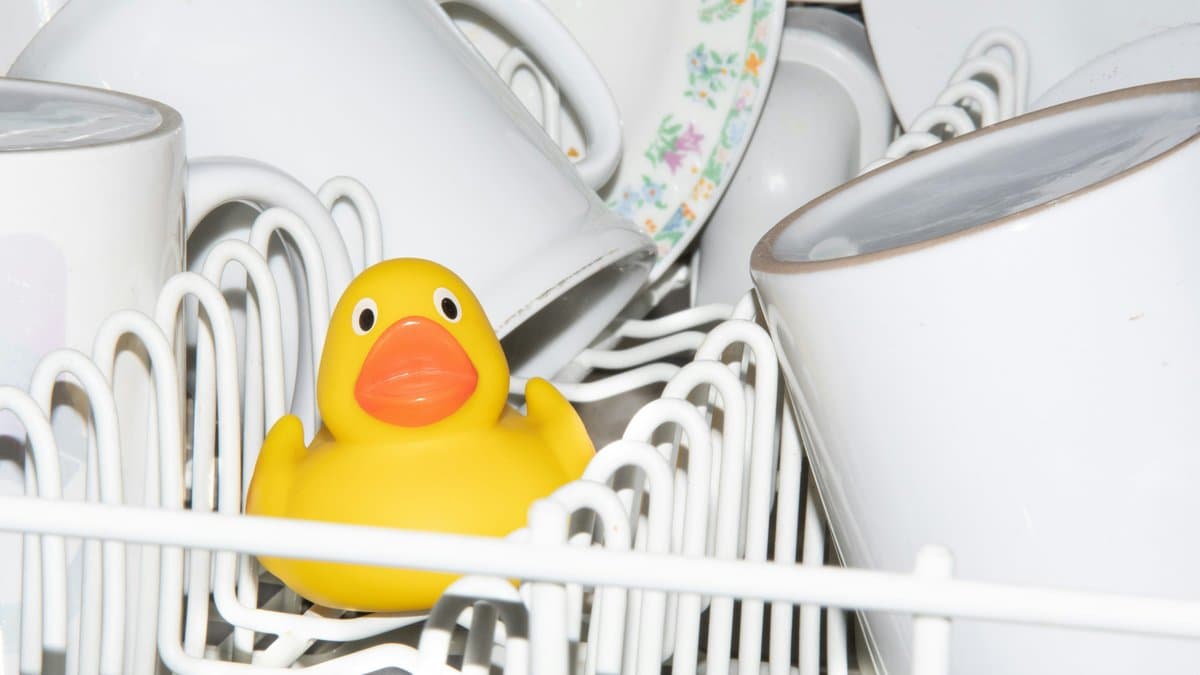 食洗機、据え置きとビルトインどっちがいい? タイプ別の判断基準