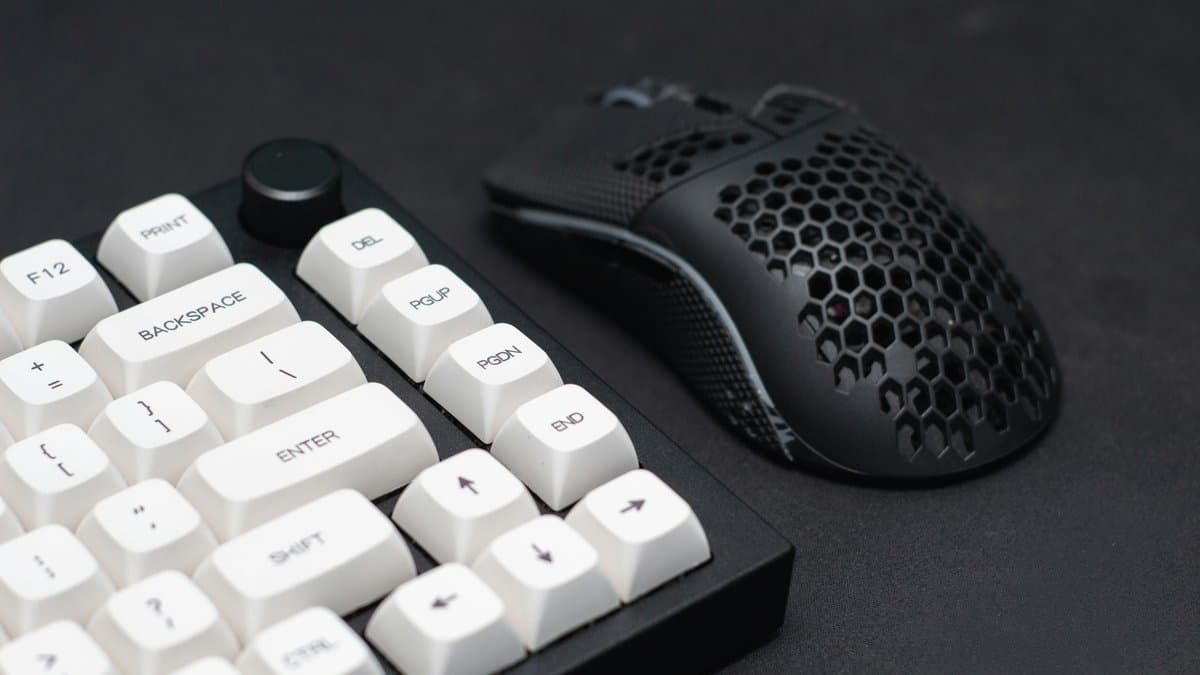 マウス、どう選ぶ?―トラックボール・エルゴノミクス・無線の判断基準